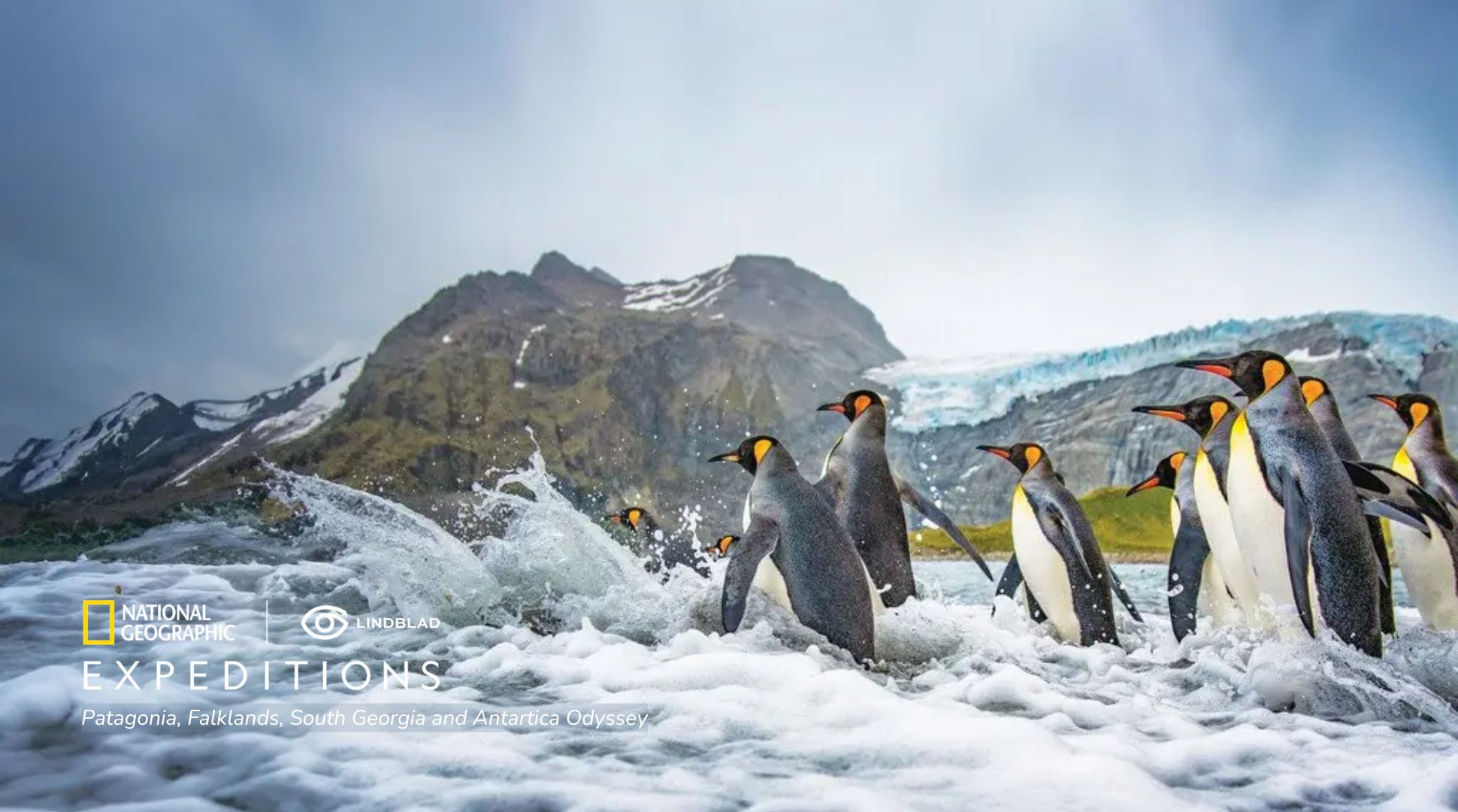 National Geographic-Lindblad Expeditions Patagonia, Falklands, South Georgia and Antarctica Odyssey voyage
